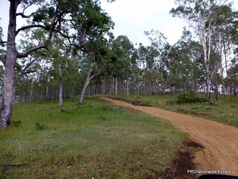 Lot 124 Plain Station Road, Tabulam NSW 2469