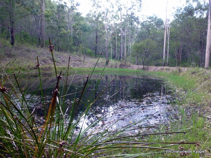 Lot 124 Plain Station Road, Tabulam NSW 2469