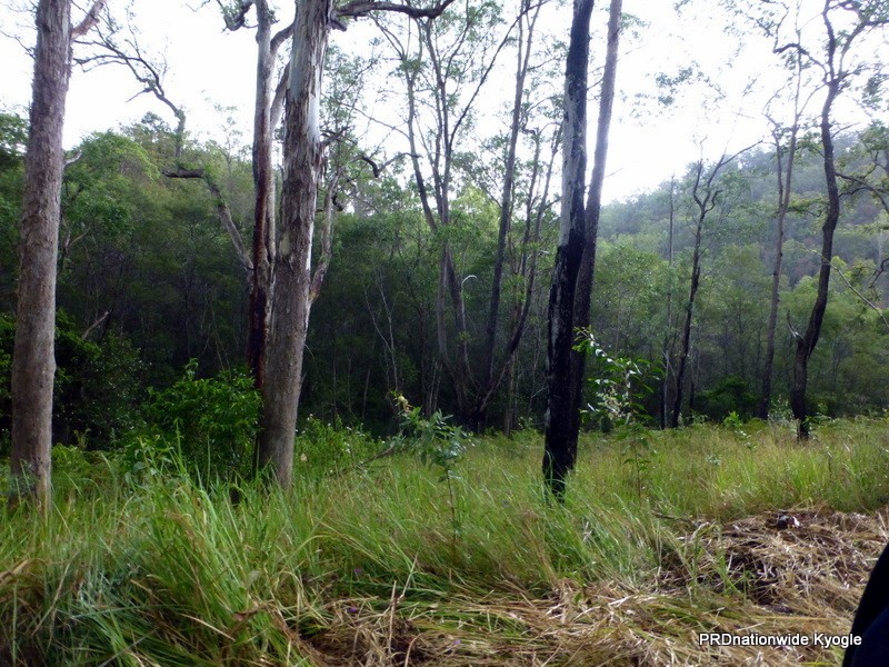 Lot 124 Plain Station Road, Tabulam NSW 2469