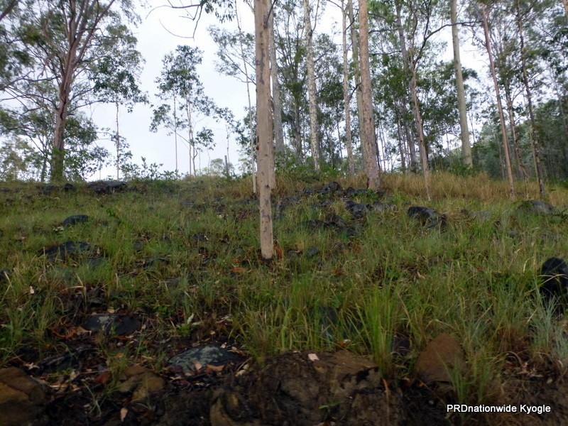 Lot 124 Plain Station Road, Tabulam NSW 2469