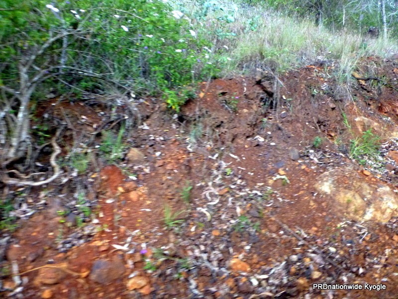 Lot 124 Plain Station Road, Tabulam NSW 2469