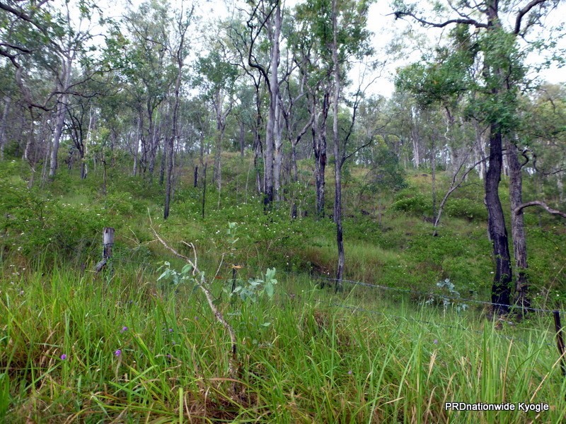 Lot 124 Plain Station Road, Tabulam NSW 2469