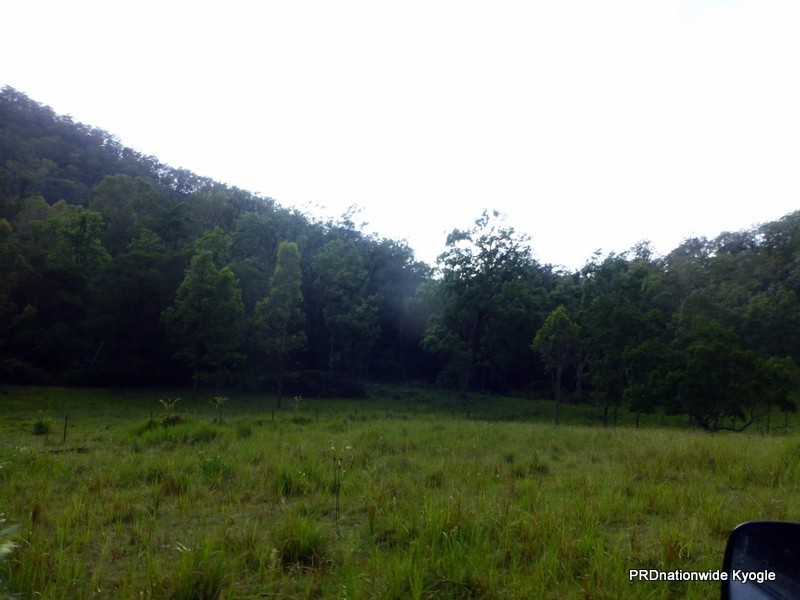 Lot 124 Plain Station Road, Tabulam NSW 2469