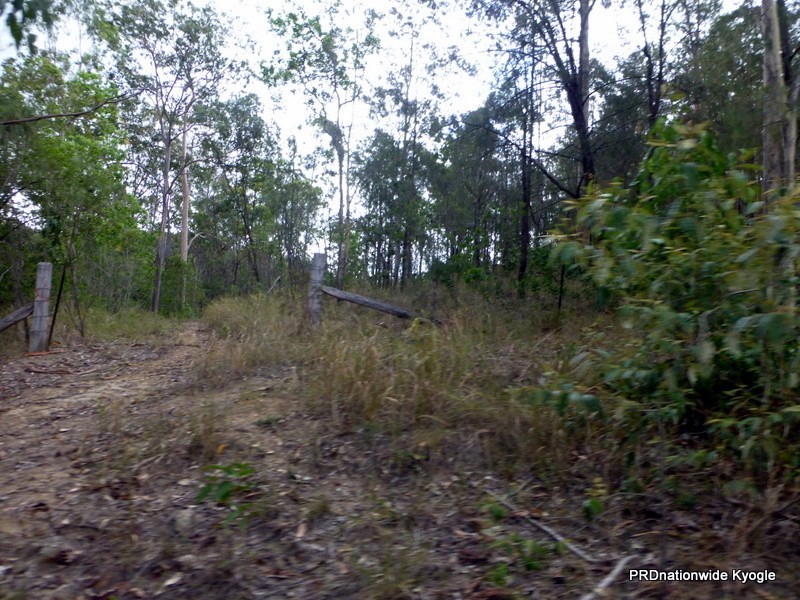 Lot 124 Plain Station Road, Tabulam NSW 2469