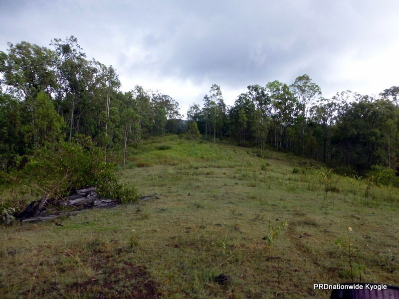 Lot 124 Plain Station Road, Tabulam NSW 2469