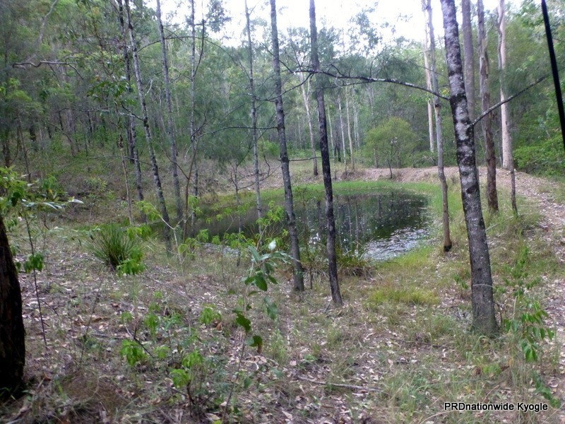 Lot 124 Plain Station Road, Tabulam NSW 2469