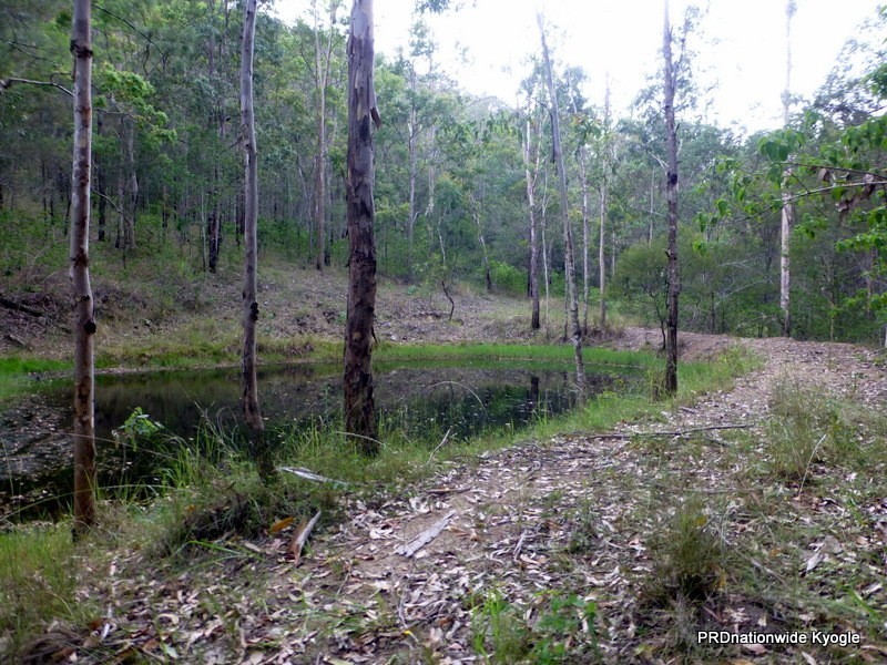 Lot 124 Plain Station Road, Tabulam NSW 2469