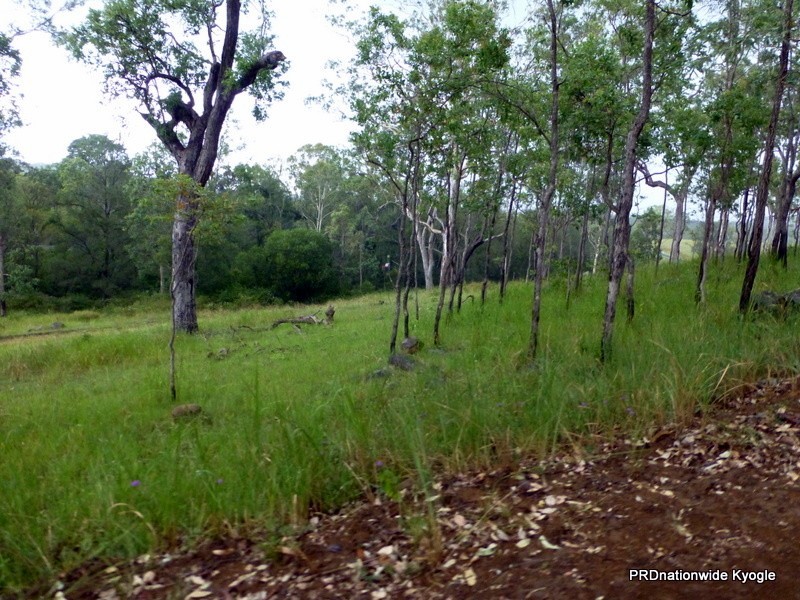 Lot 124 Plain Station Road, Tabulam NSW 2469