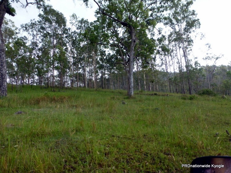 Lot 124 Plain Station Road, Tabulam NSW 2469