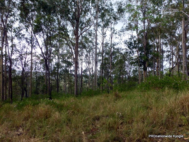 Lot 124 Plain Station Road, Tabulam NSW 2469