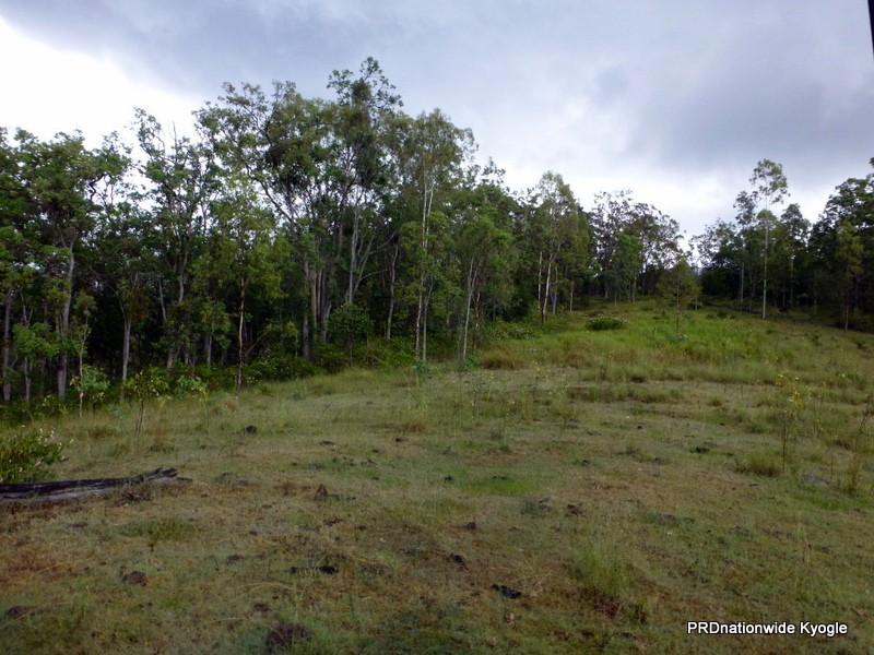 Lot 124 Plain Station Road, Tabulam NSW 2469