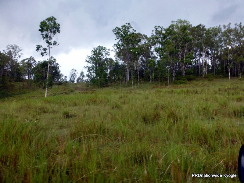 Lot 124 Plain Station Road, Tabulam NSW 2469