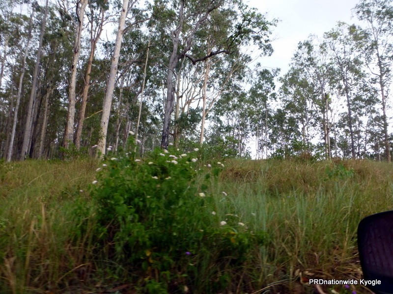 Lot 124 Plain Station Road, Tabulam NSW 2469