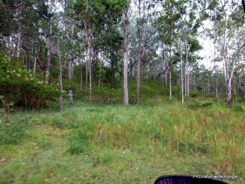Lot 124 Plain Station Road, Tabulam NSW 2469