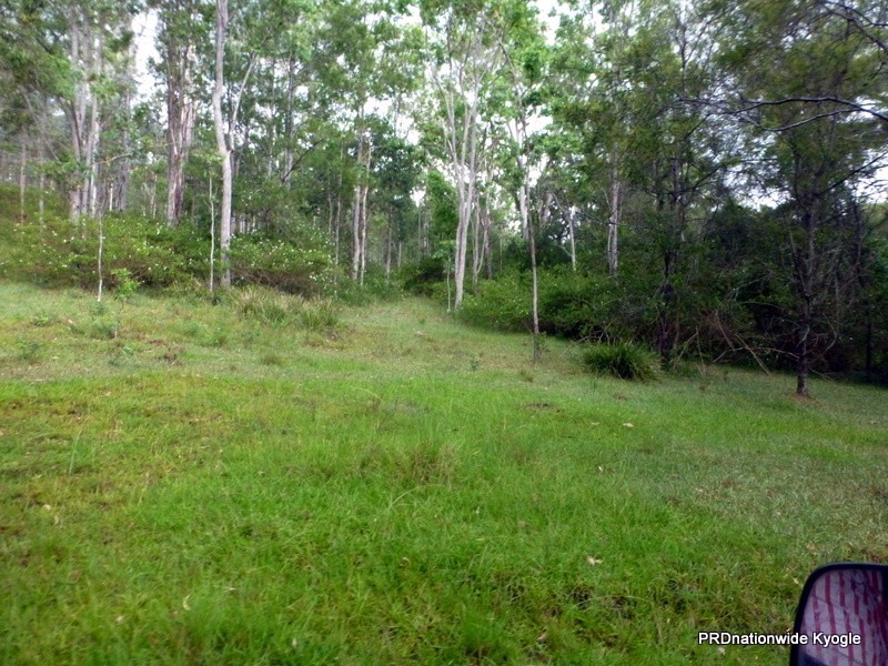 Lot 124 Plain Station Road, Tabulam NSW 2469