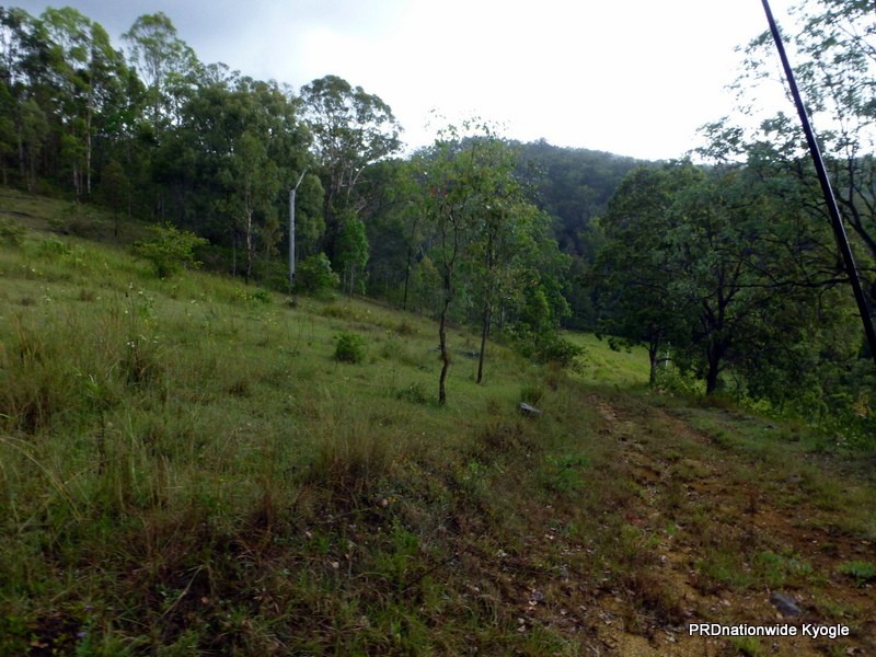 Lot 124 Plain Station Road, Tabulam NSW 2469