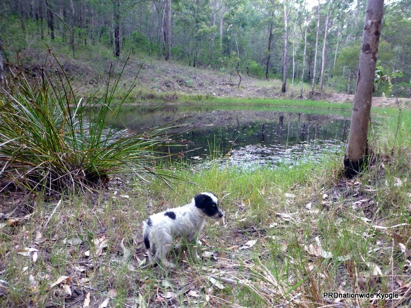 Lot 124 Plain Station Road, Tabulam NSW 2469