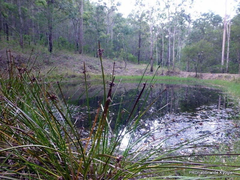 Lot 124 Plain Station Road, Tabulam NSW 2469