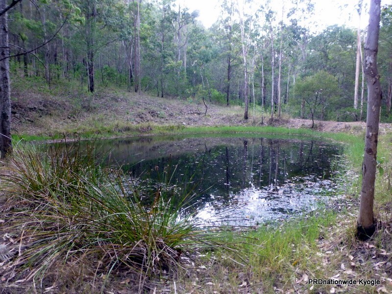 Lot 124 Plain Station Road, Tabulam NSW 2469