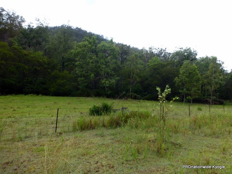 Lot 124 Plain Station Road, Tabulam NSW 2469