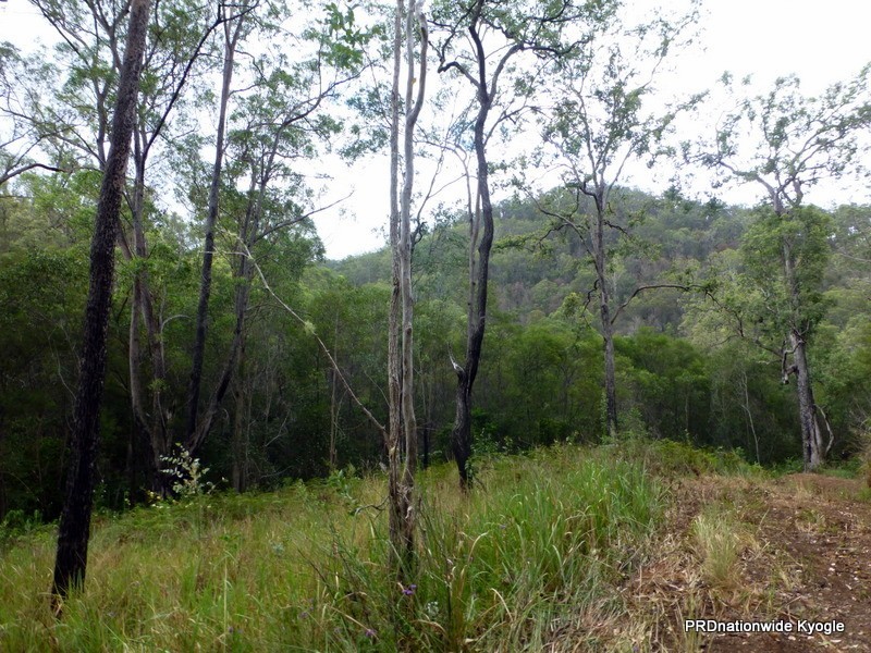 Lot 124 Plain Station Road, Tabulam NSW 2469