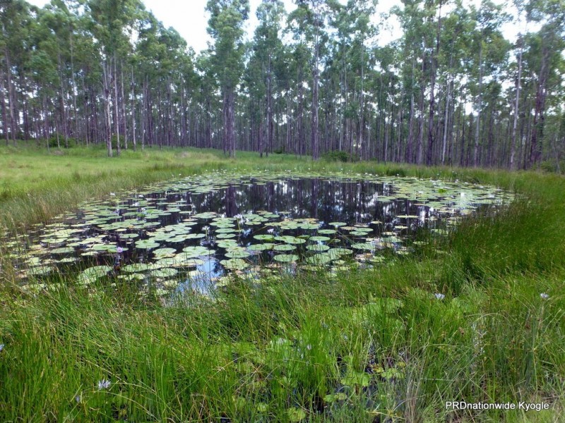 Lot 26 Tabulam Road, LOWER BOTTLE CREEK Via, Tabulam NSW 2469