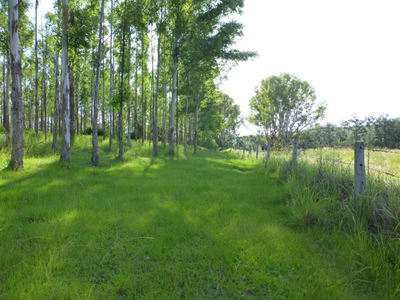 Lot 26 Tabulam Road, LOWER BOTTLE CREEK Via, Tabulam NSW 2469