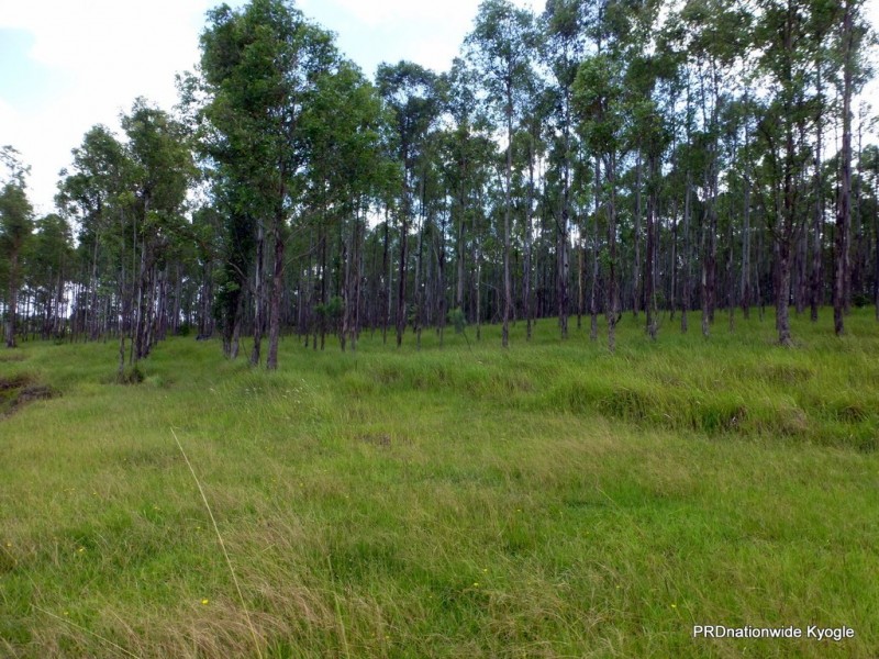 Lot 26 Tabulam Road, LOWER BOTTLE CREEK Via, Tabulam NSW 2469