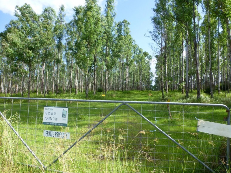 Lot 26 Tabulam Road, LOWER BOTTLE CREEK Via, Tabulam NSW 2469