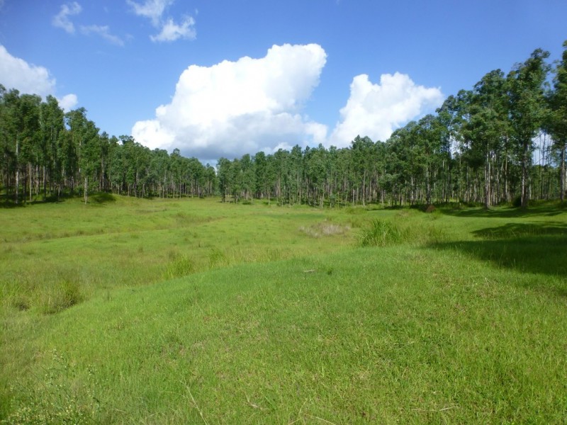 Lot 26 Tabulam Road, LOWER BOTTLE CREEK Via, Tabulam NSW 2469