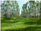 Lot 26 Tabulam Road, LOWER BOTTLE CREEK Via, Tabulam NSW 2469