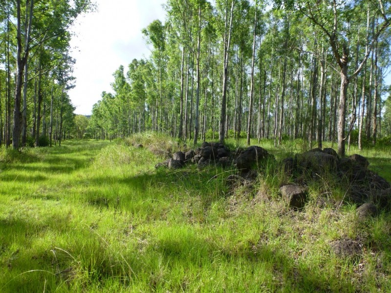 Lot 26 Tabulam Road, LOWER BOTTLE CREEK Via, Tabulam NSW 2469