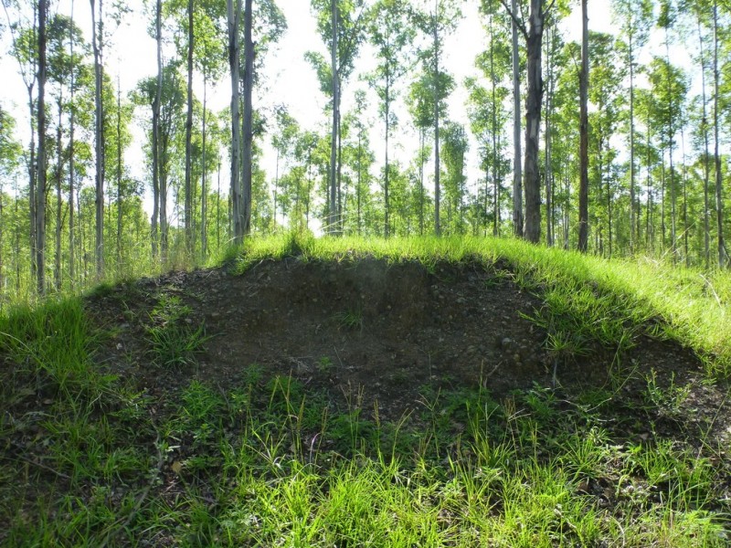 Lot 26 Tabulam Road, LOWER BOTTLE CREEK Via, Tabulam NSW 2469