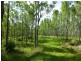Lot 26 Tabulam Road, LOWER BOTTLE CREEK Via, Tabulam NSW 2469