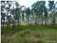Lot 26 Tabulam Road, LOWER BOTTLE CREEK Via, Tabulam NSW 2469