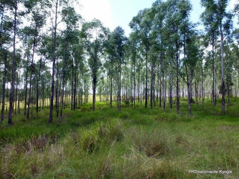 Lot 26 Tabulam Road, LOWER BOTTLE CREEK Via, Tabulam NSW 2469