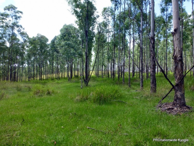 Lot 26 Tabulam Road, LOWER BOTTLE CREEK Via, Tabulam NSW 2469