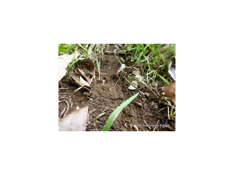 6114 Bruxner Highway, Tabulam NSW 2469