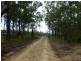 Drake NSW 2469