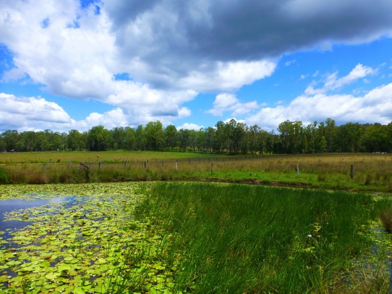 Lot 143 Old Lawrence Road, DEEP CREEK, Mallanganee NSW 2469