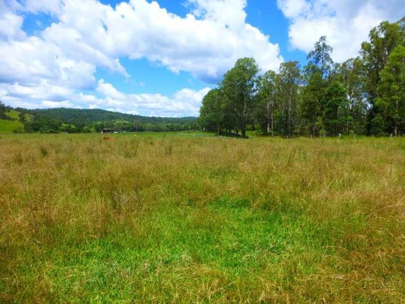 Lot 143 Old Lawrence Road, DEEP CREEK, Mallanganee NSW 2469