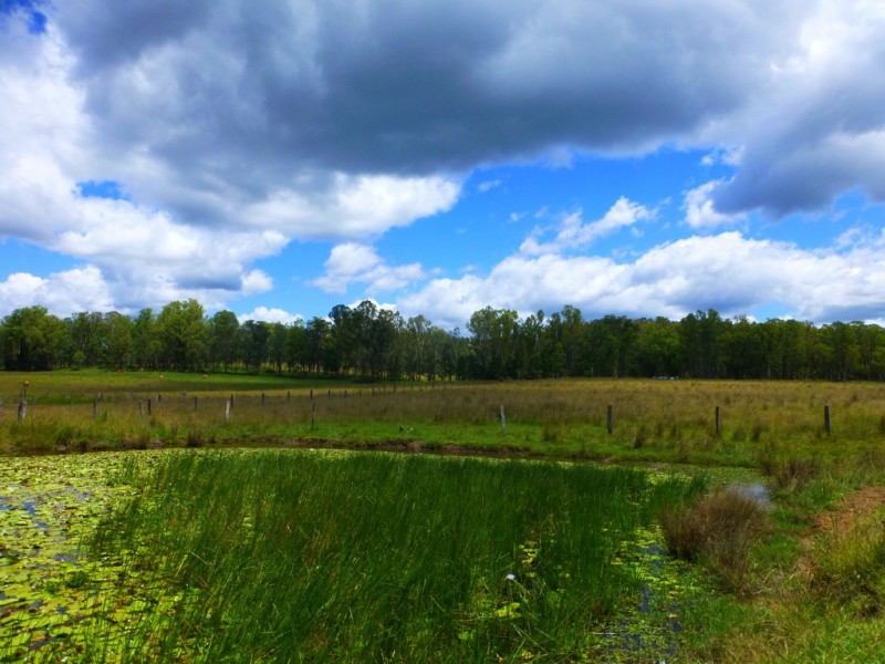 Lot 143 Old Lawrence Road, DEEP CREEK, Mallanganee NSW 2469