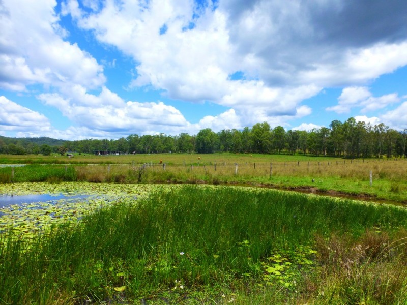 Lot 143 Old Lawrence Road, DEEP CREEK, Mallanganee NSW 2469