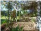 657 Old Dyraaba Road, Woodview NSW 2470