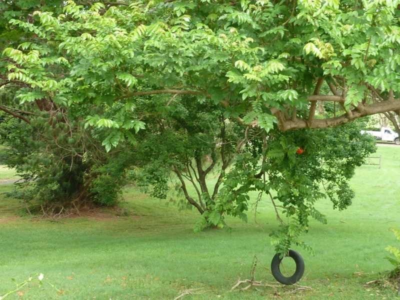 25 Merrigan Street, Kyogle NSW 2474