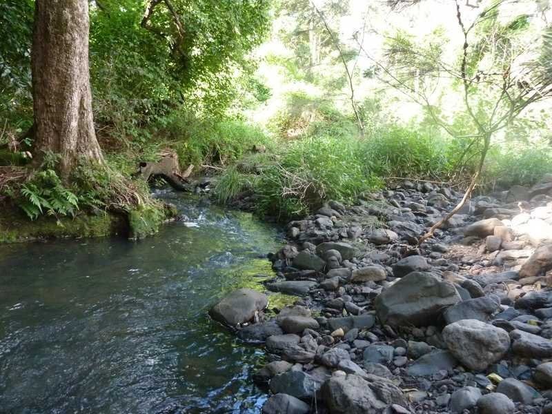 Lot 14 Boorabee Creek Road Boorabee Via, Kyogle NSW 2474