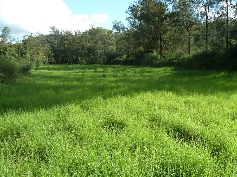 Lot 14 Boorabee Creek Road Boorabee Via, Kyogle NSW 2474
