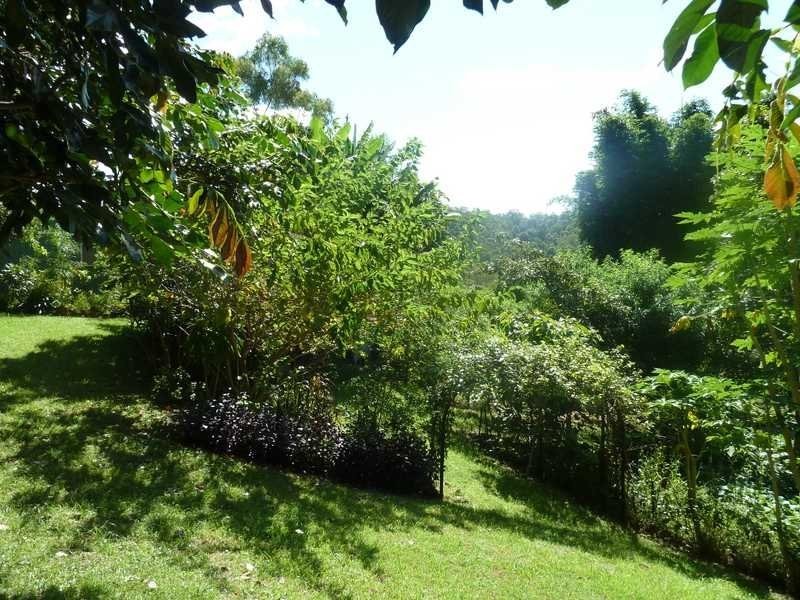 Lot 14 Boorabee Creek Road Boorabee Via, Kyogle NSW 2474
