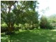 Lot 14 Boorabee Creek Road Boorabee Via, Kyogle NSW 2474
