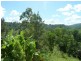 Lot 14 Boorabee Creek Road Boorabee Via, Kyogle NSW 2474